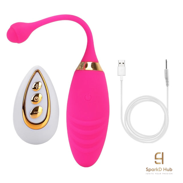 Wireless Remote Vibrator Egg Sex Toy with 10 Speeds